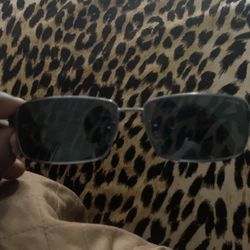 Polaroid Shades