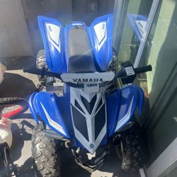 4 Wheeler (Electric)
