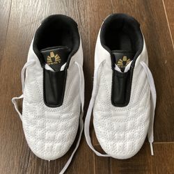 Sparring Shoes (Taekwondo)