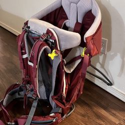 Kid Comfort Child Carrier 