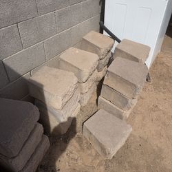Cement tree border!!
