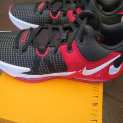 Men's Nike Lebron Witness Vll