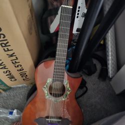 12 String Acoustic Guitar