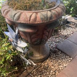 Flower Pots
