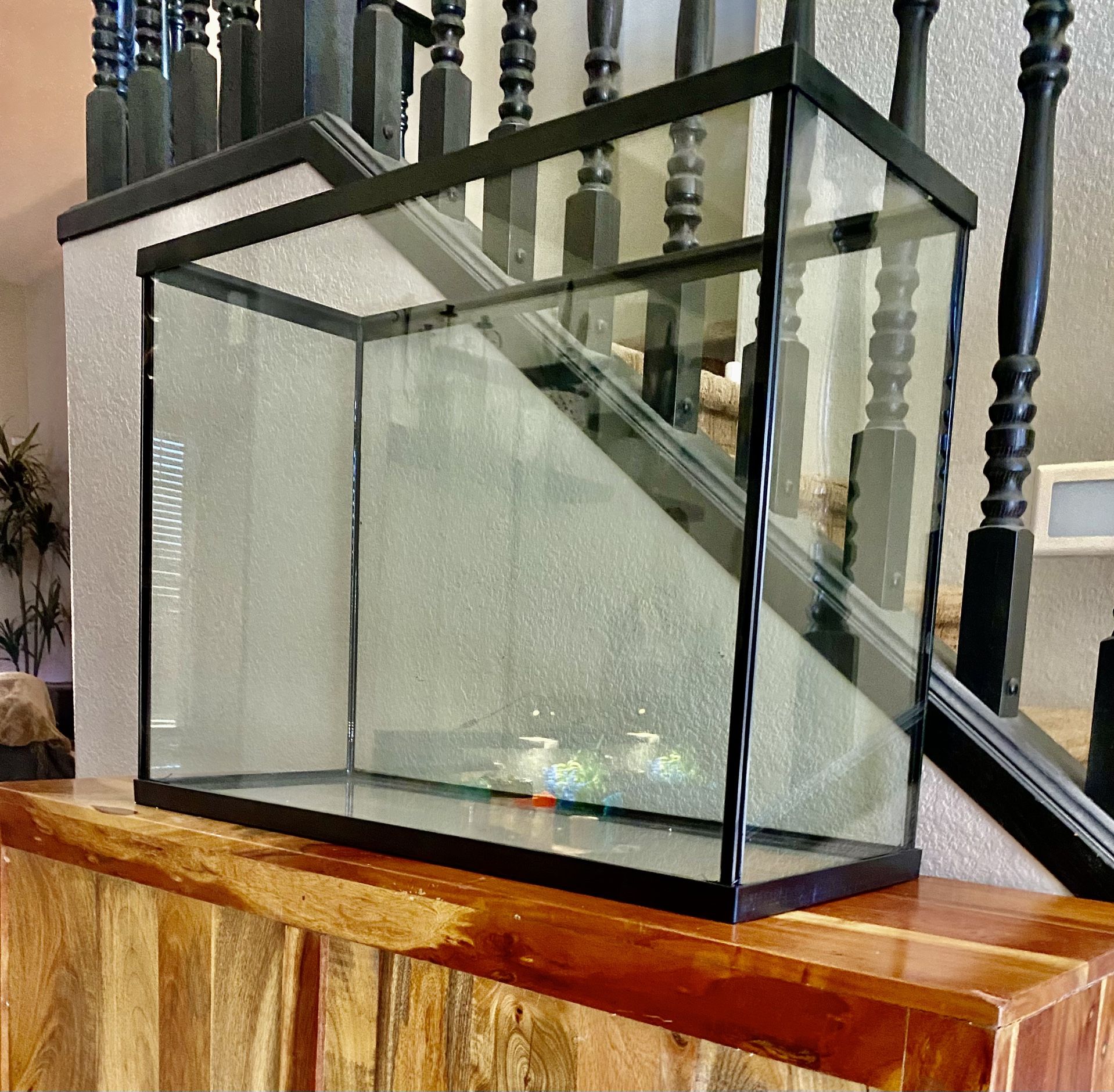 Seapora Extra High Style 37 Gallon Fish Tank Aquarium / Reptile Reptarium