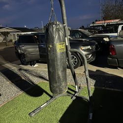 Boxing Bag