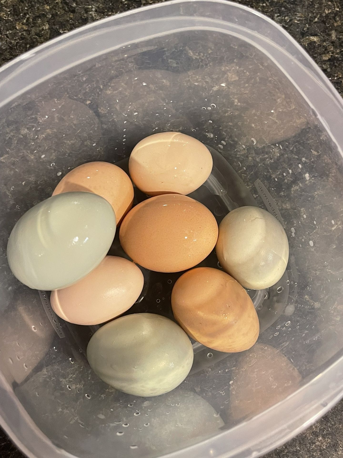 Eggs For Sale