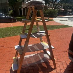 Cat Ladder