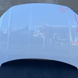 2019 -20-21-22-23-2024 Volkswagen Jetta Hood Oem  