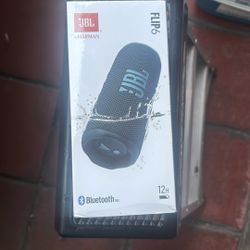 JBL Speaker Flip 6