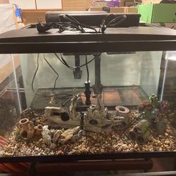 30 Gal To 5 Gal Fish Tank