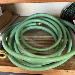 Garden Hose 