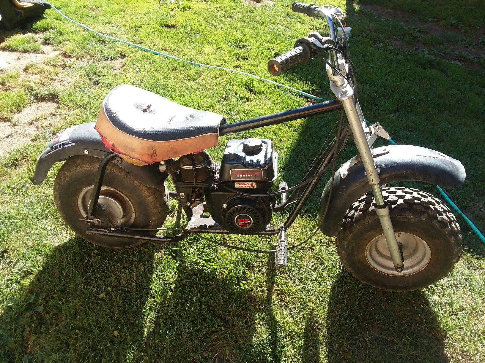 Tote goat for Sale in Lacey, WA - OfferUp