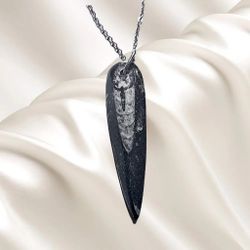 Genuine Fossilized Orthoceras Pendant with Stainless Steel Necklace. Shipping Only.