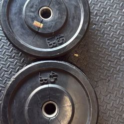 45lb Bumper Plates 