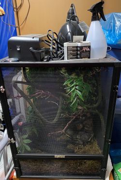 Reptile Cage