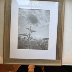 Sunflower Print Black & White 