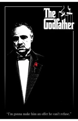 The Godfather Movie Poster 24 x 36 Inches Full Sized Print Plexiglass Framed & Ready for Display