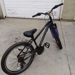 Schwinn Sidewinder Bike