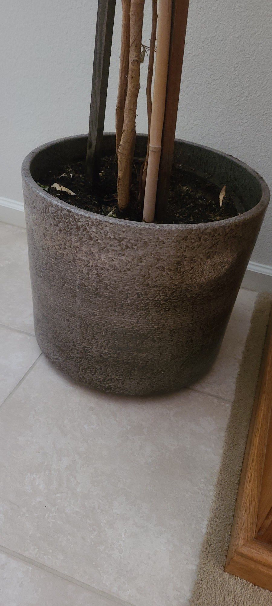 Ceramic Pots With Plants 