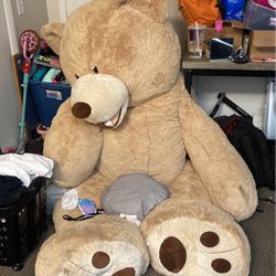 Big Teddy Bear