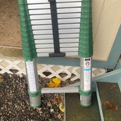 Extendable Ladder To 12ft