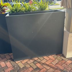 flower pot