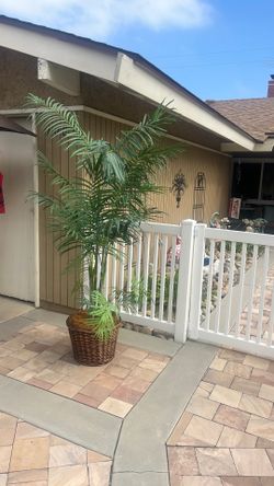 Indoor fake /plastic plant