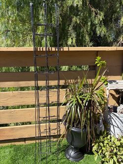 4 iron trail for plants 🪴 6 feet tall for only 50 dollars everything
