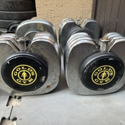 Gold Gyms Adjustable Dumbbells 