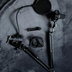 Semi Professional Mic 