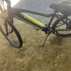 Electric Bike 