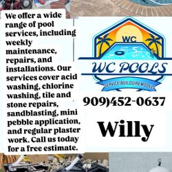 Pool Monthly Service 