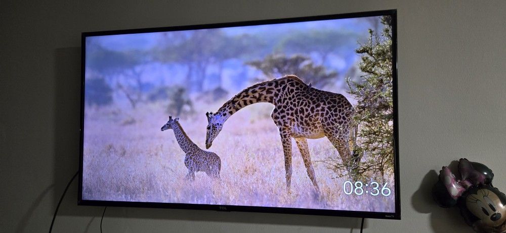 TCL 55 Inches