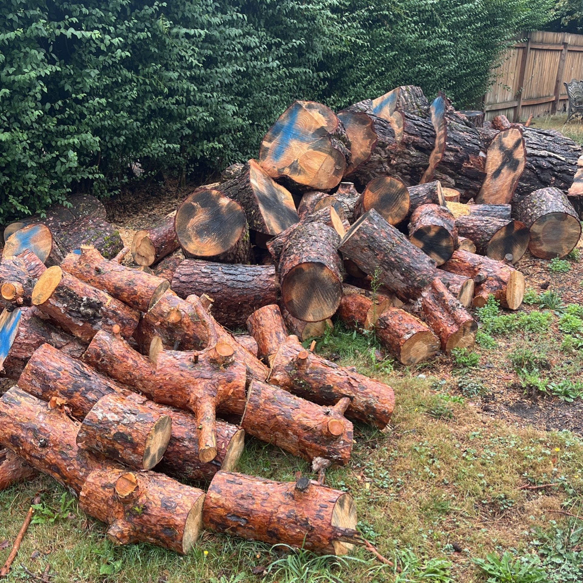 Free Firewood