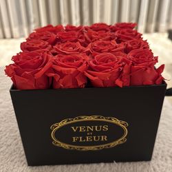 Venus Et Fleur red roses, flowers
