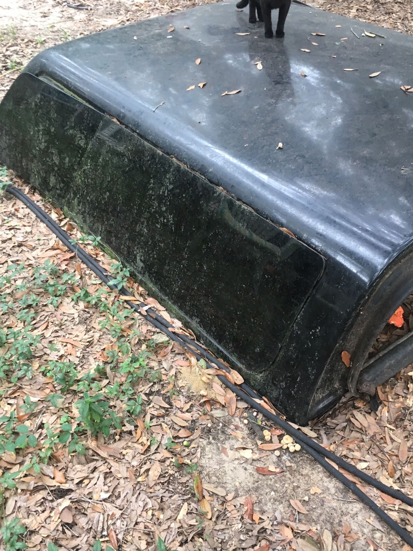 ARE Camper Shell