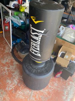 Everlast punching bag