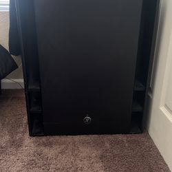 Electric Power Bass  Woofer