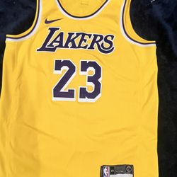 Lebron James Laker jersey 