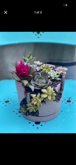 Broken pottery