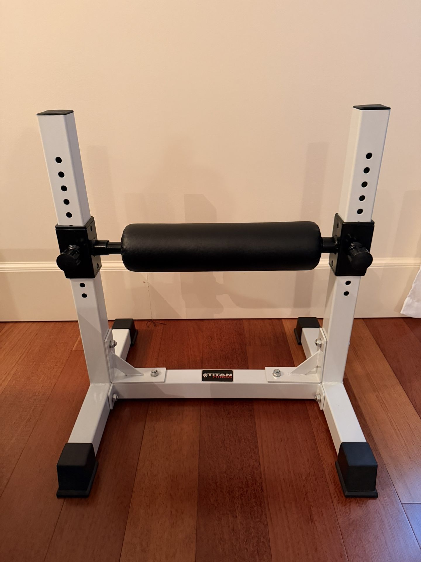 Single Leg Squat Roller