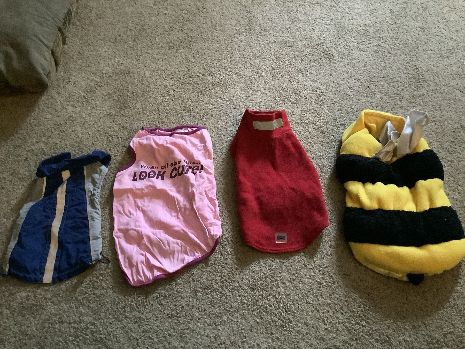 Lot Of 4 Dogs Outfits Rain Coat , T Shirt, Fleece Jacket , Bee Outfit Small