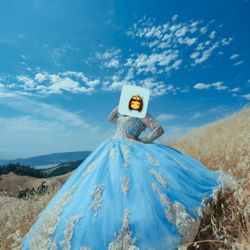 Quince Dress