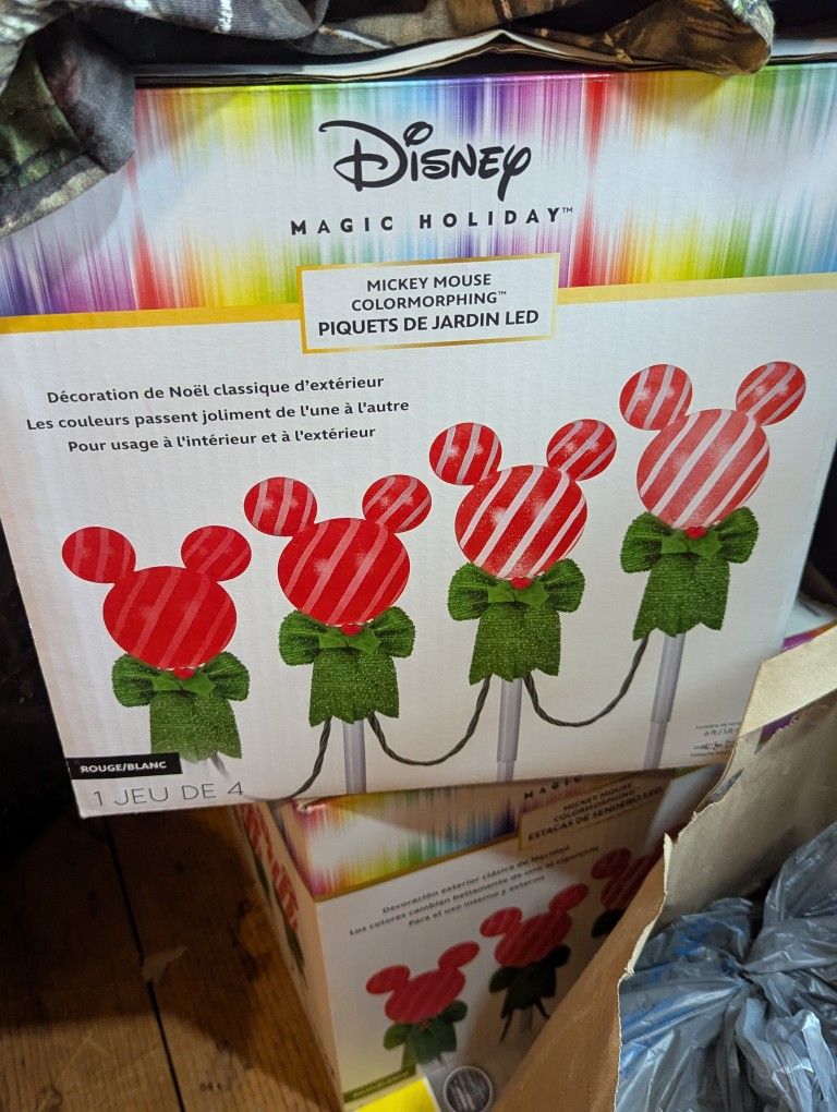 Mickey Mouse Pathway Lights