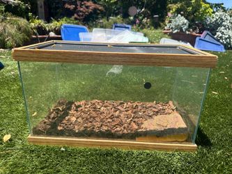 Reptile Enclosure Small Tank