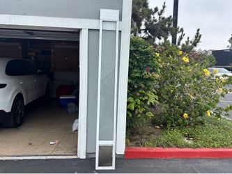Dog Door