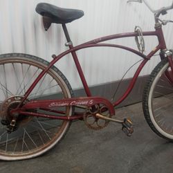 Schwinn Cruiser 5