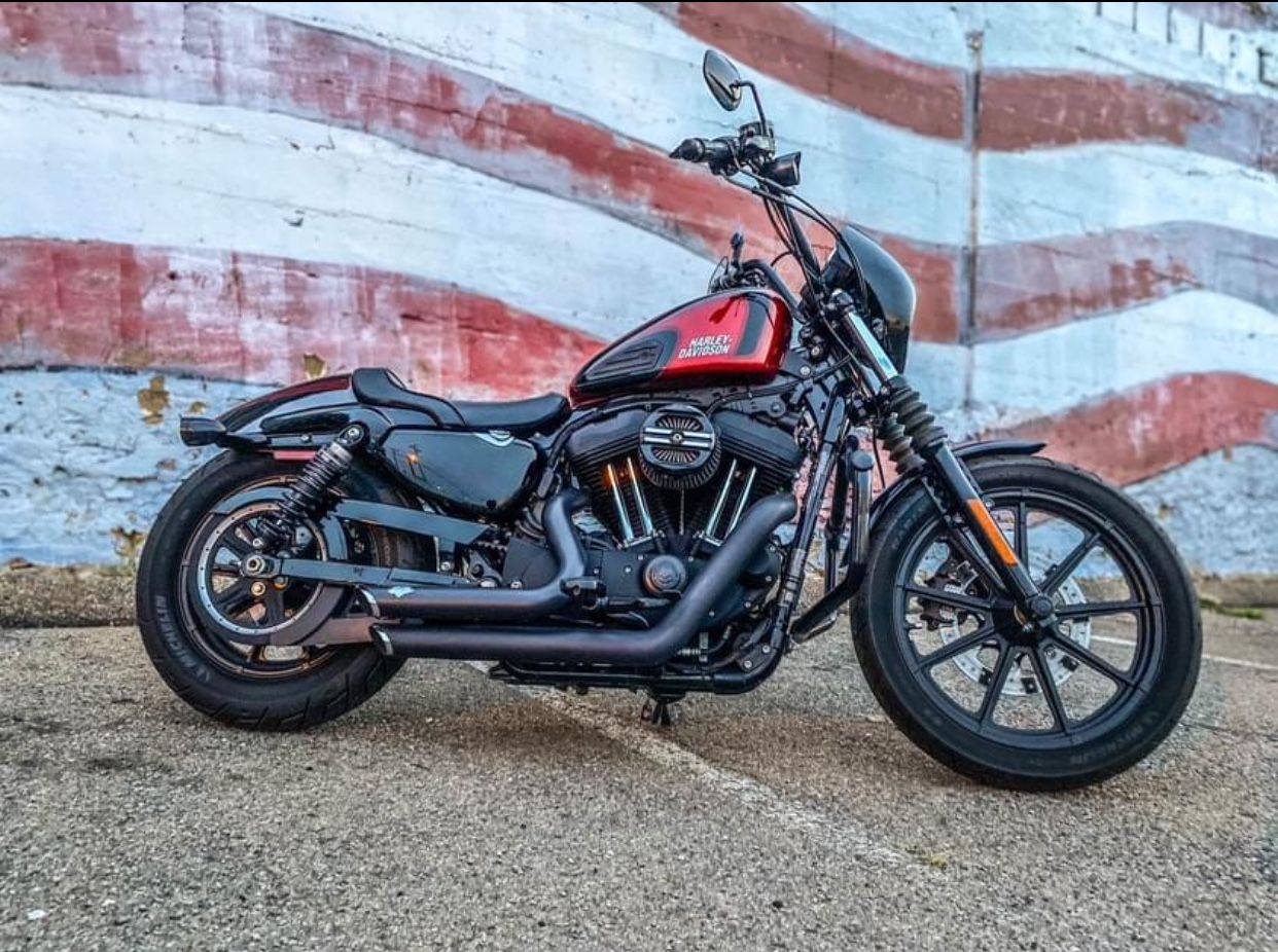 2019 Harley Davidson 1200 xl custom