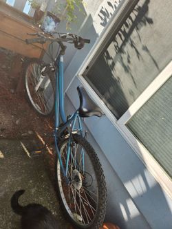 Free lady bike